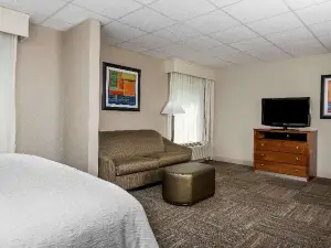Hampton Inn Ft. Chiswell-Max Meadows