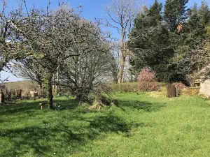 Peaceful Traditional Irish Cottage Set on Own Land