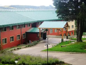 Hotel Diego de Almagro Coyhaique