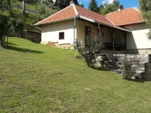 Kuća za Odmor - Martić, Rudno, Golija