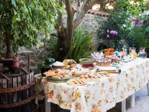 B&B l'Albero Dei Limoni