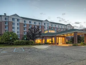 Hilton Garden Inn Detroit Metro Airport