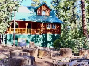 Backwoods Bonanza - Big Cabin with Hot Tub!