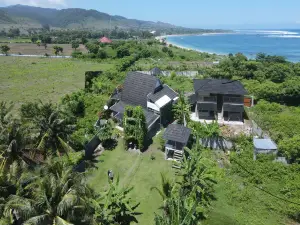 Arista Lakey Peak House