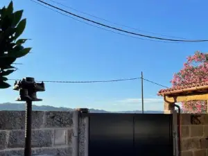 Cepas Da Cuenga