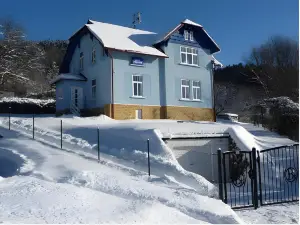 Blue Pension