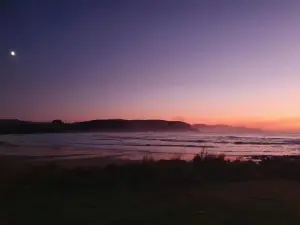Beach Front Oasis - Catlins, Jacks Bay