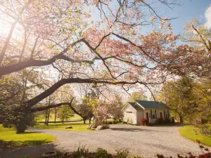 Historic Artist's Cottage on 5 Acre Property Near Blue Ridge Mts. and Wineries