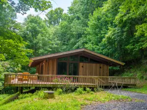 Blue Ridge Mountain Chalet - 13 Acres: Private and Modern!