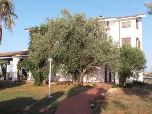 Stella dei Venti