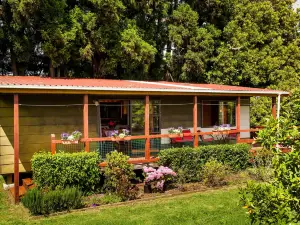 Relax a Lodge