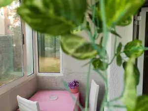 Apartment Sanja