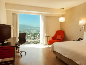 Fiesta Inn Periferico Sur