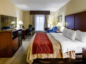 Comfort Inn Lexington I-75