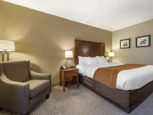 Comfort Inn Madison