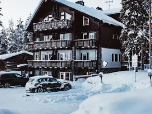 Levin Alppitalot Alpine Chalets Deluxe