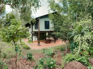 The Treehouse Darwin