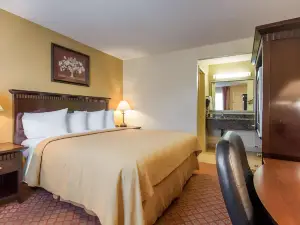 퀄리티 인 샌 버나디노