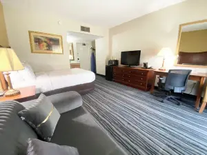 ไคท์วิลล์ โอวีโก