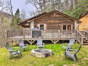 Charming Marion Cabin Fire Pit and Mtn Views!