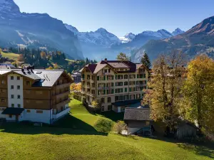 Historic Hotel Falken