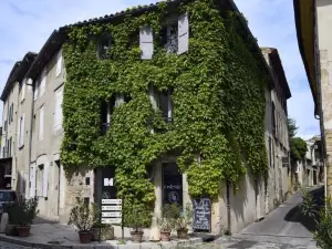 盧爾馬蘭宅邸宮殿酒店