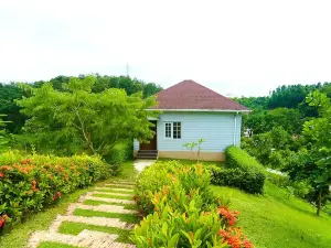 Serene Royal Hotel & Resorts