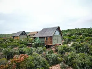 Harmony Luxury Tents & Safari