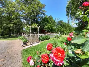 La Cabane du Cowboy