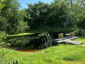 Entire home as a Bed and Breakfast