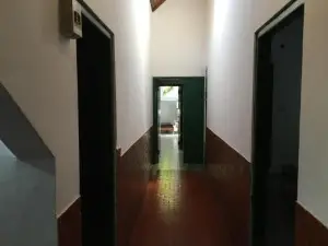 Zorzal 2