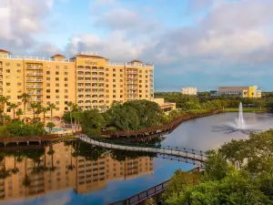 Hilton St. Petersburg Carillon Park