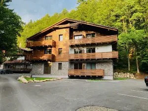 Lucnica apartments - mountain style ski&golf apts.