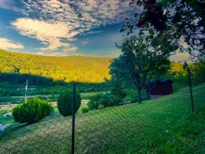 Gemütliche Wohnung Mit Neckarblick