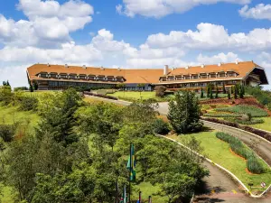 Bendito Cacao Resort & Spa