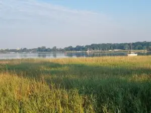 Fewo Usedom Peene Idyll