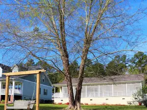 Lakefront Cottage on Lake Marion