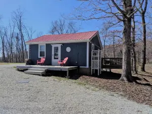 Quaint Cottage in Birdsong Creek/KY Lake/TN River. Short and Long-Term Rental