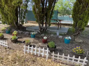 Clearlake Cabins