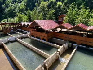 Isikli Kale Otel