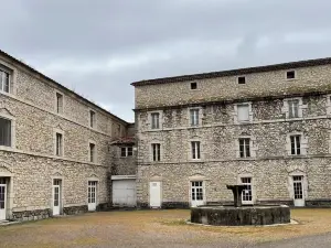 Les Asphodèles