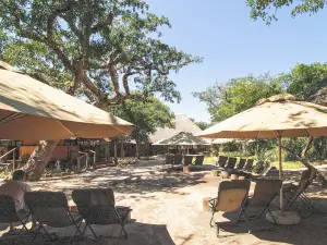 Tembe Elephant Park