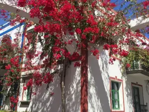 Marina Apartment with Garden by El Sirocco