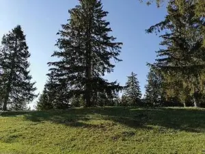 Apartmani Ognjen