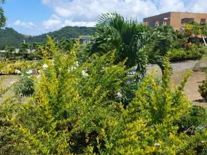 Diamond View Cottages