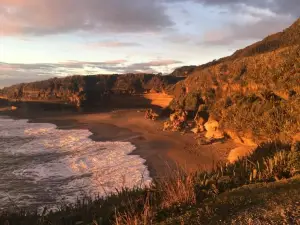 Punakaiki Treehouse Limited