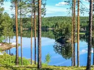 3 Bedroom Stunning Home in Särna