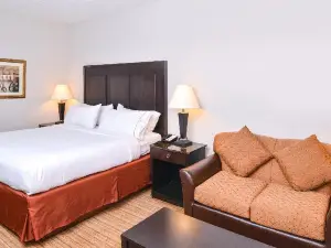 Holiday Inn Express 溫斯頓塞勒姆市中心西