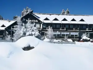 Hotel Kranjska Gora