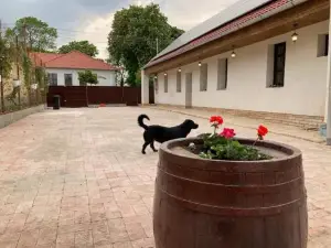 Kisdio Vendeghaz